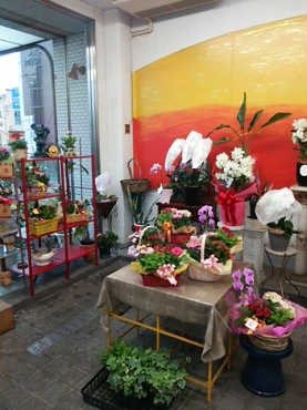 「花園」　（愛知県名古屋市中村区）の花屋店舗写真2